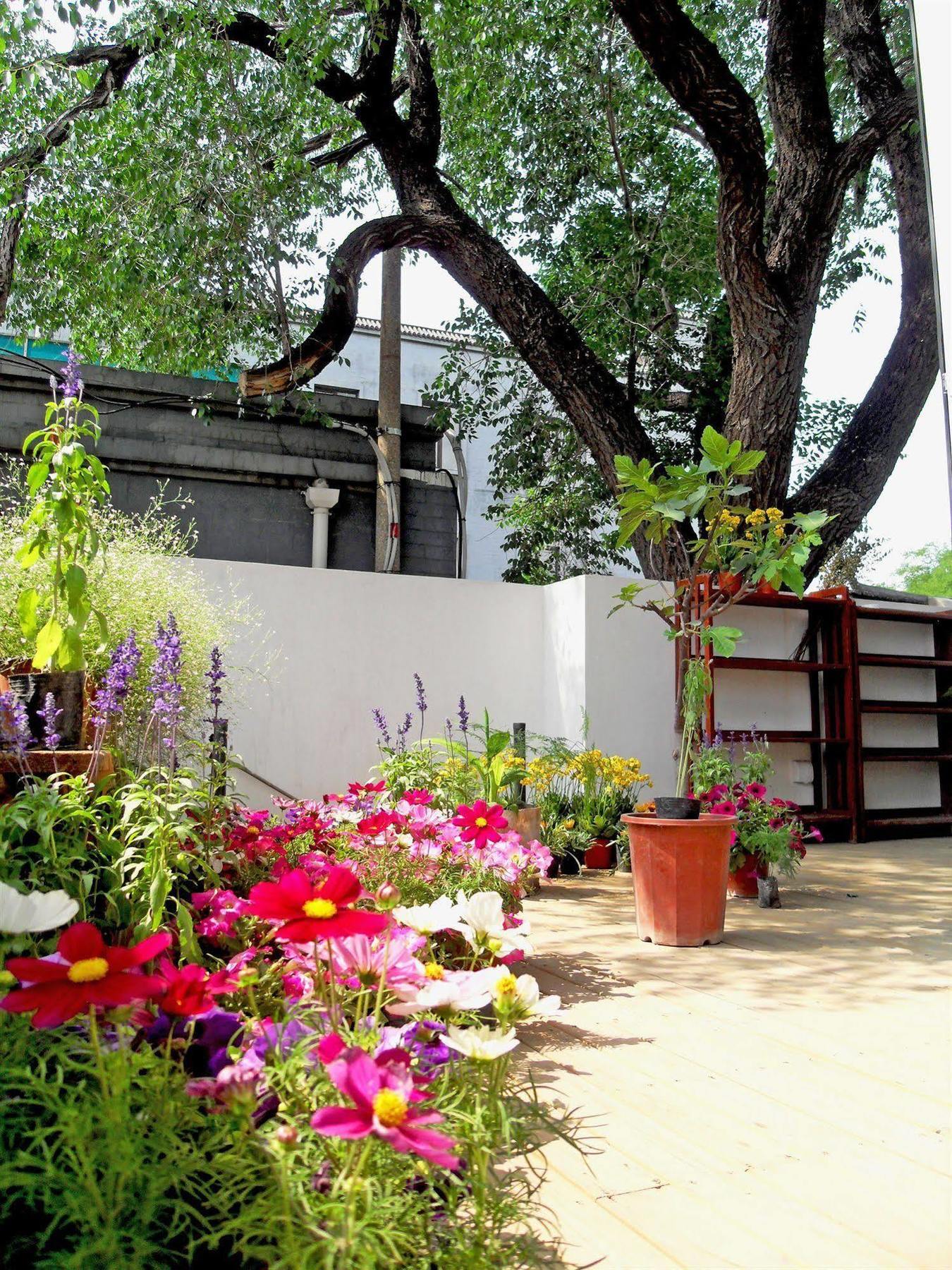 Beijing Wohkoon Hostel-Nan Luo Gu Xiang Branch מראה חיצוני תמונה